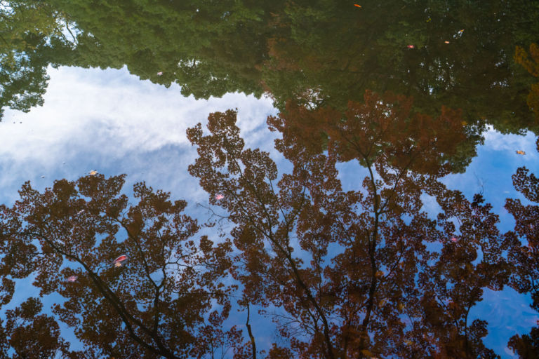 Autumn Reflection at Koishikawa korakuen garden